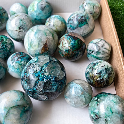 Lot 24 pcs Quantum Quattro Sphere*
