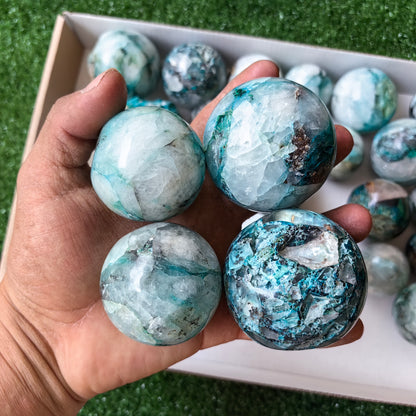 Lot 24 pcs Quantum Quattro Sphere*