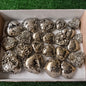 Lot 22 pcs Pyrite Heart*