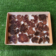 Lot 24 pcs Agatized Fossilized Wood Slices