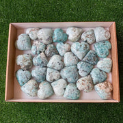 Lot 30 pcs Chrysoprase Heart