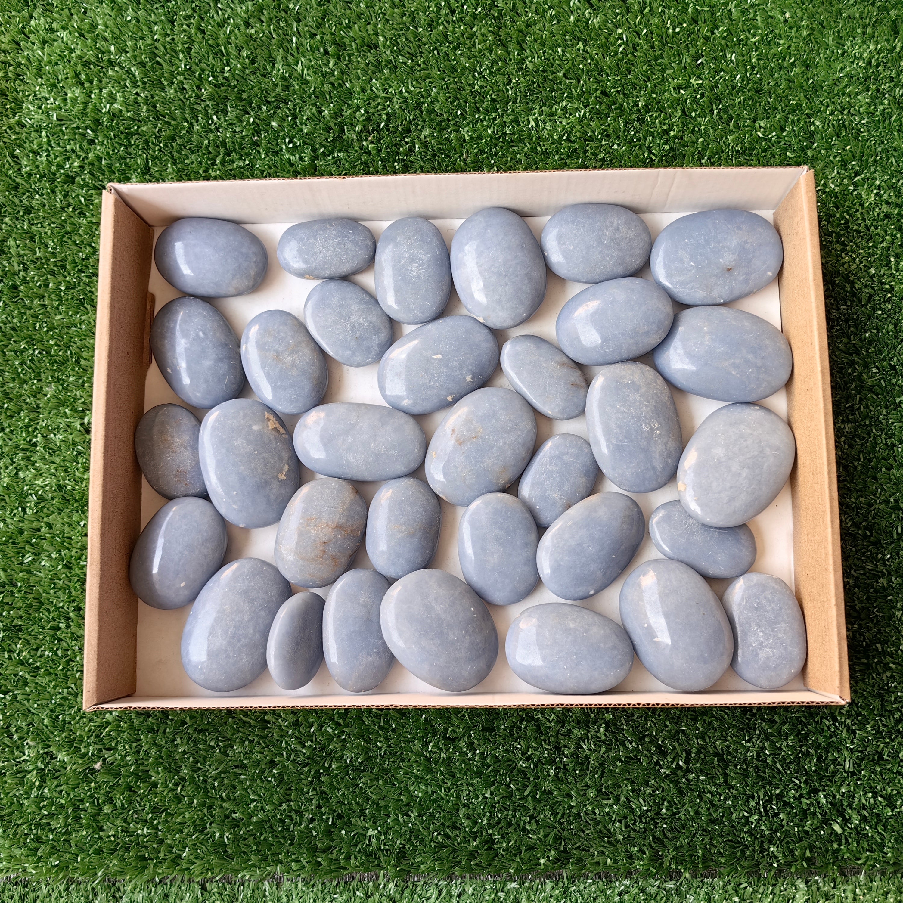 Lot 33 pcs Angelite Palm