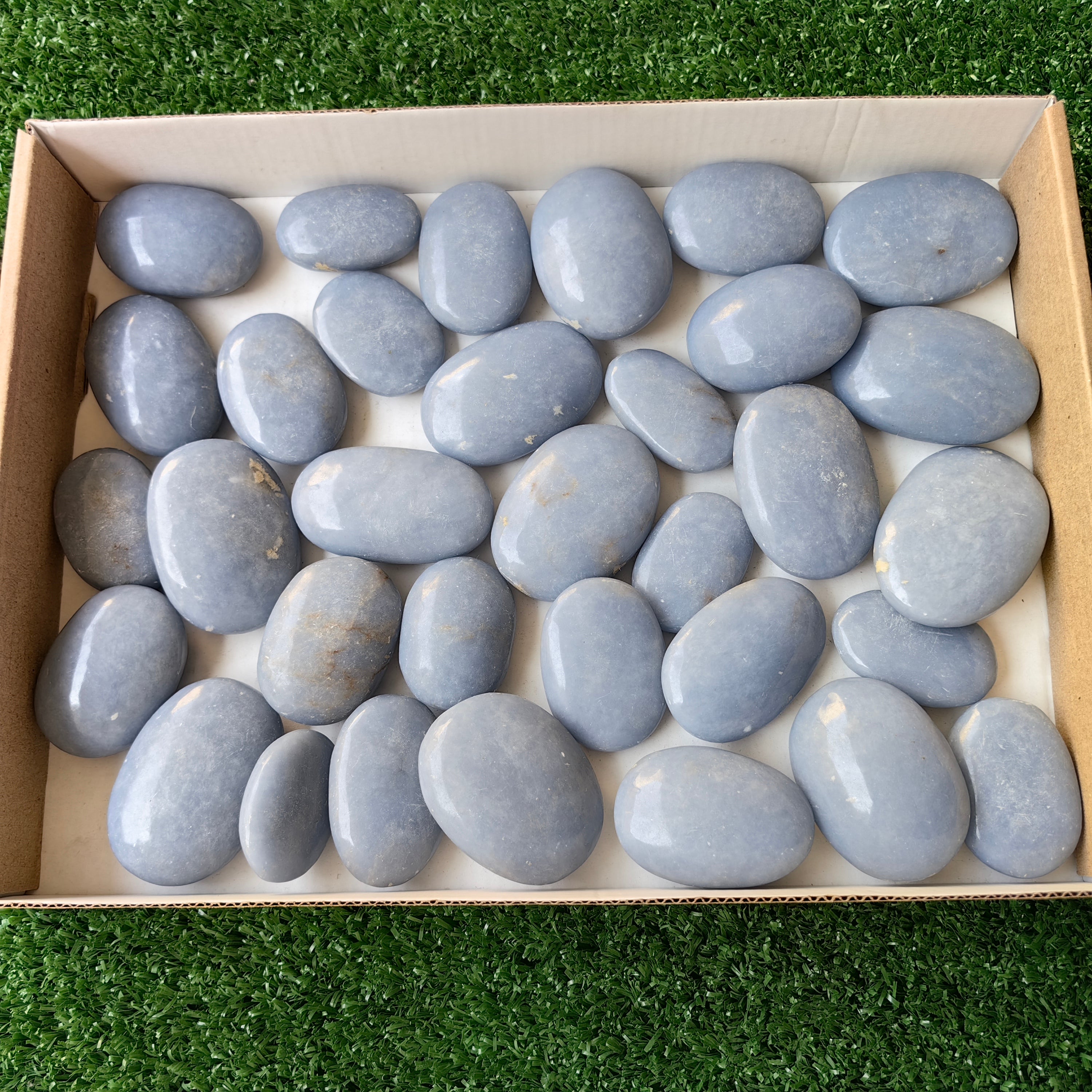 Lot 33 pcs Angelite Palm