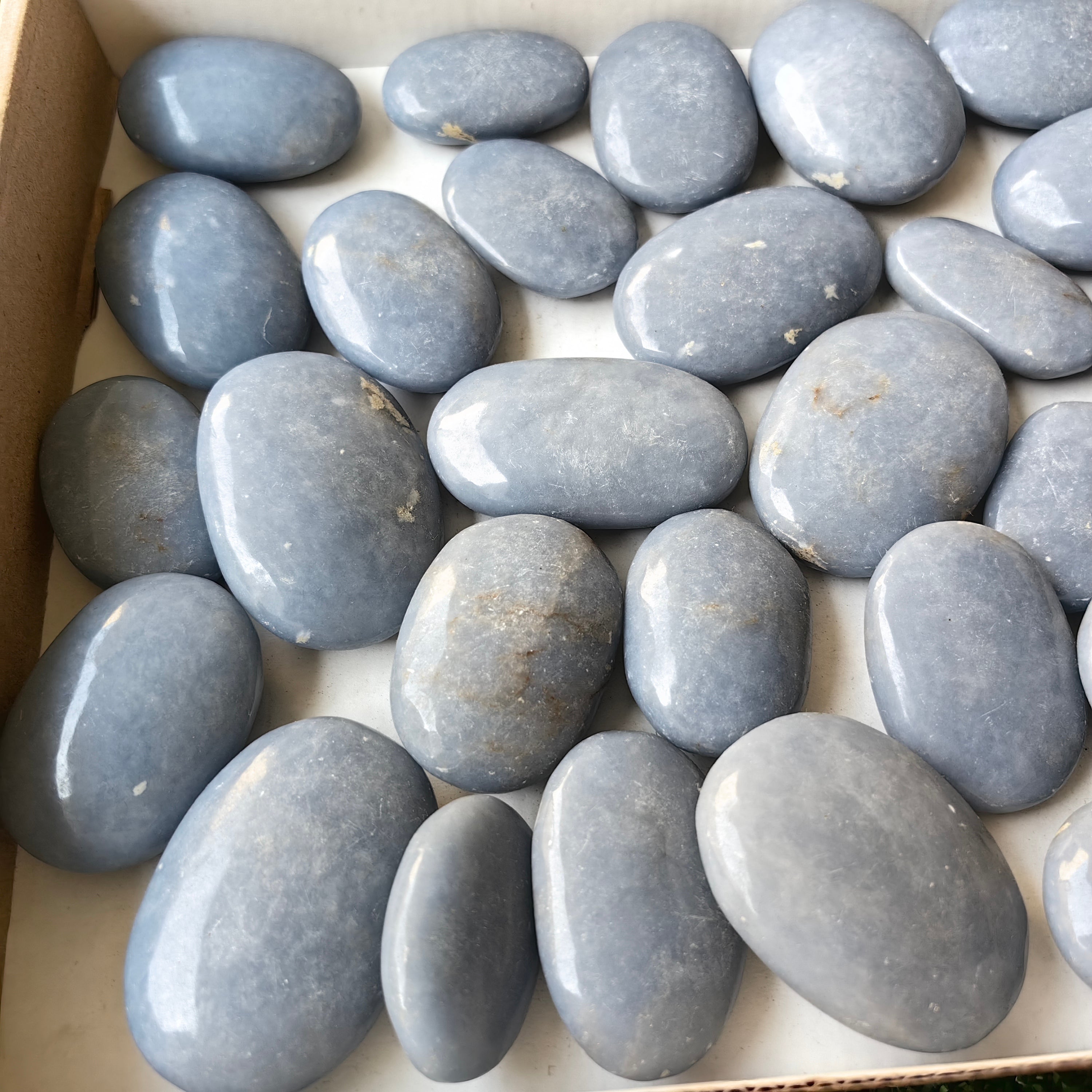 Lot 33 pcs Angelite Palm