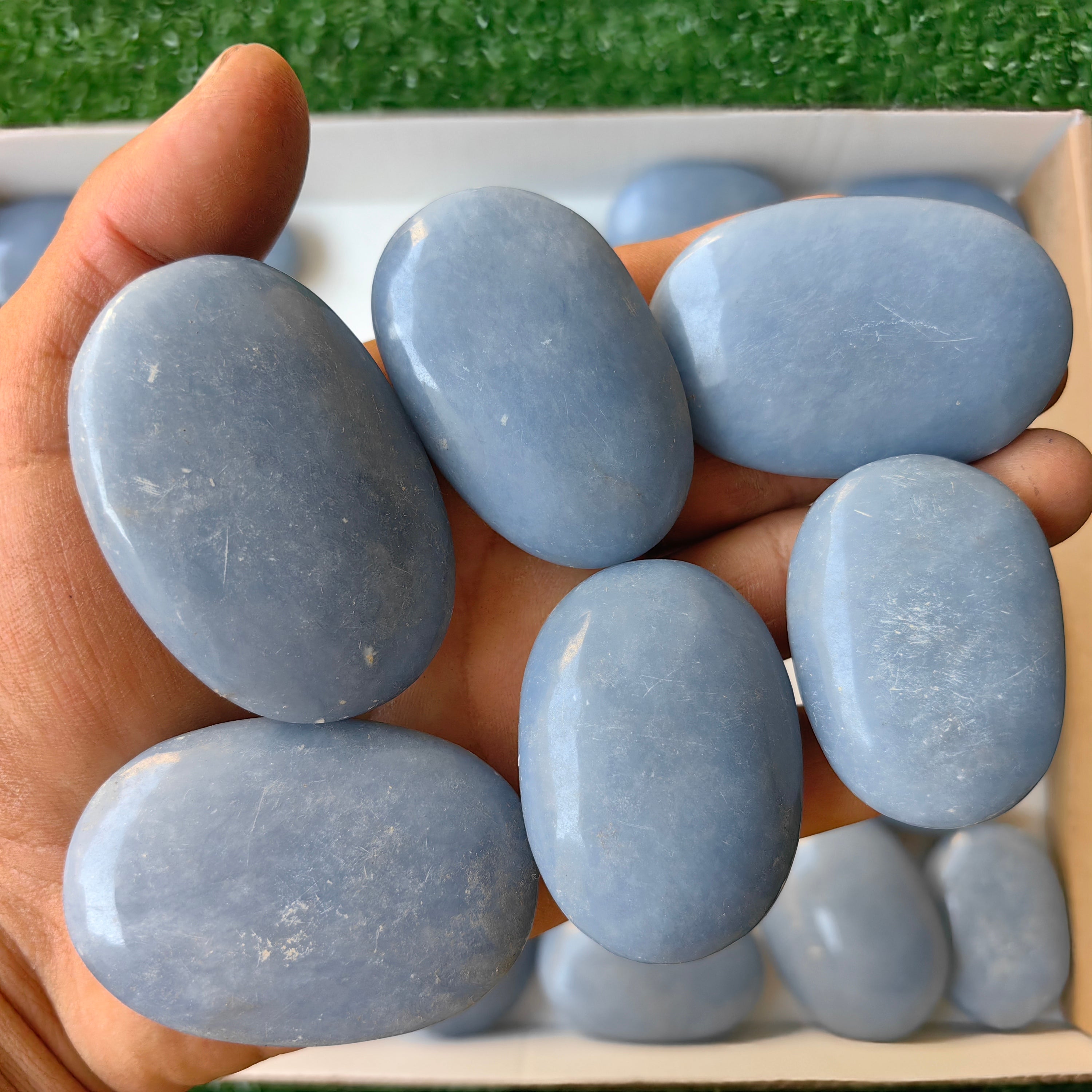 Lot 33 pcs Angelite Palm