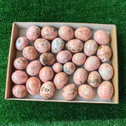 Lot 32 pcs Rhodonite Egg