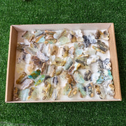 37 pcs Blue Opal Butterfly