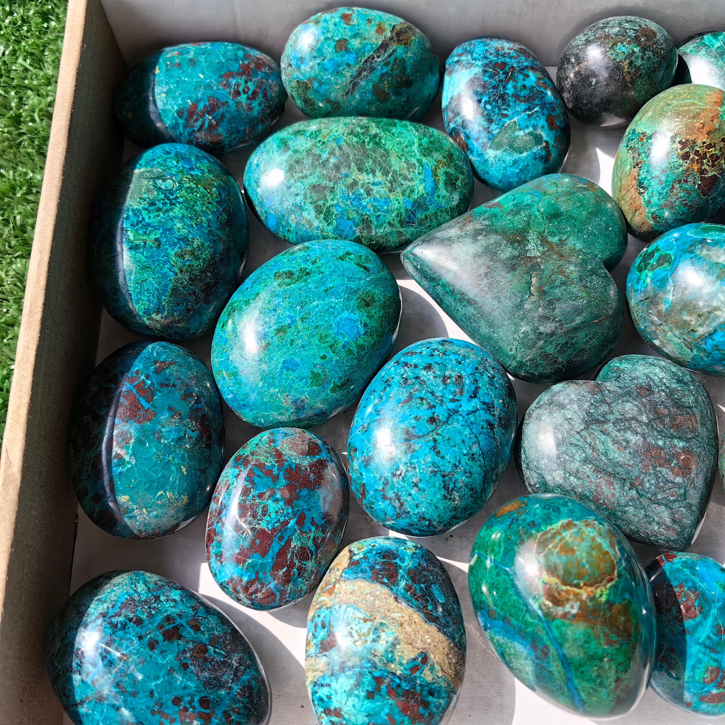 31 pc chrysocolla free forms