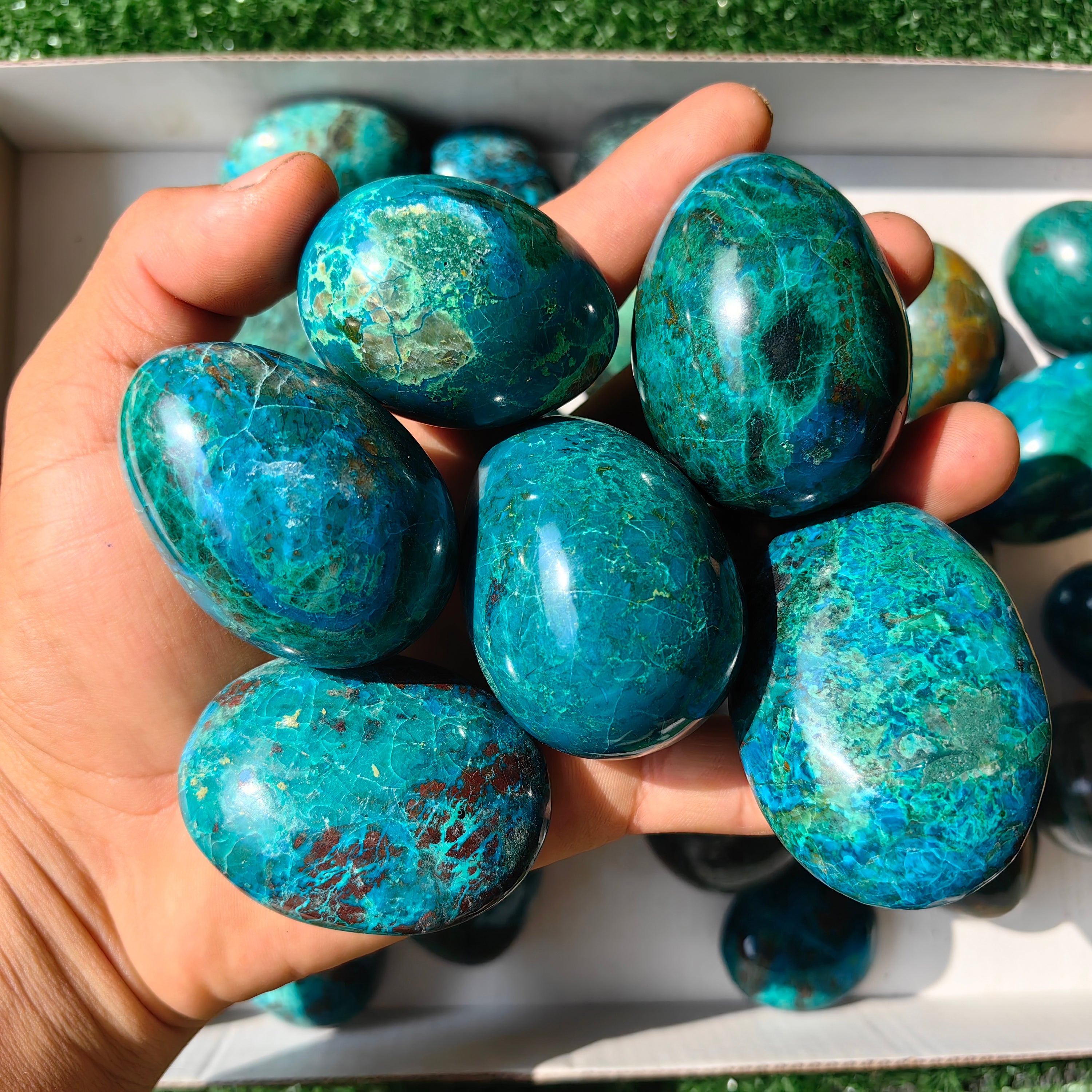 31 pc chrysocolla free forms