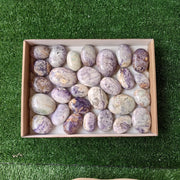 28 pc bolivianite palms
