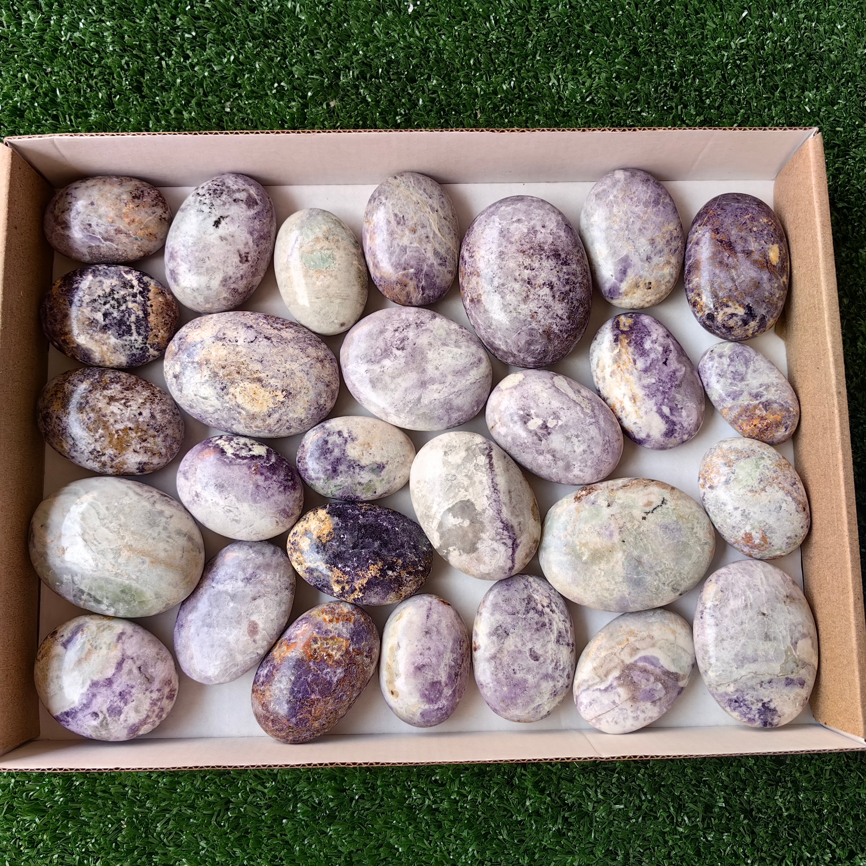28 pc bolivianite palms