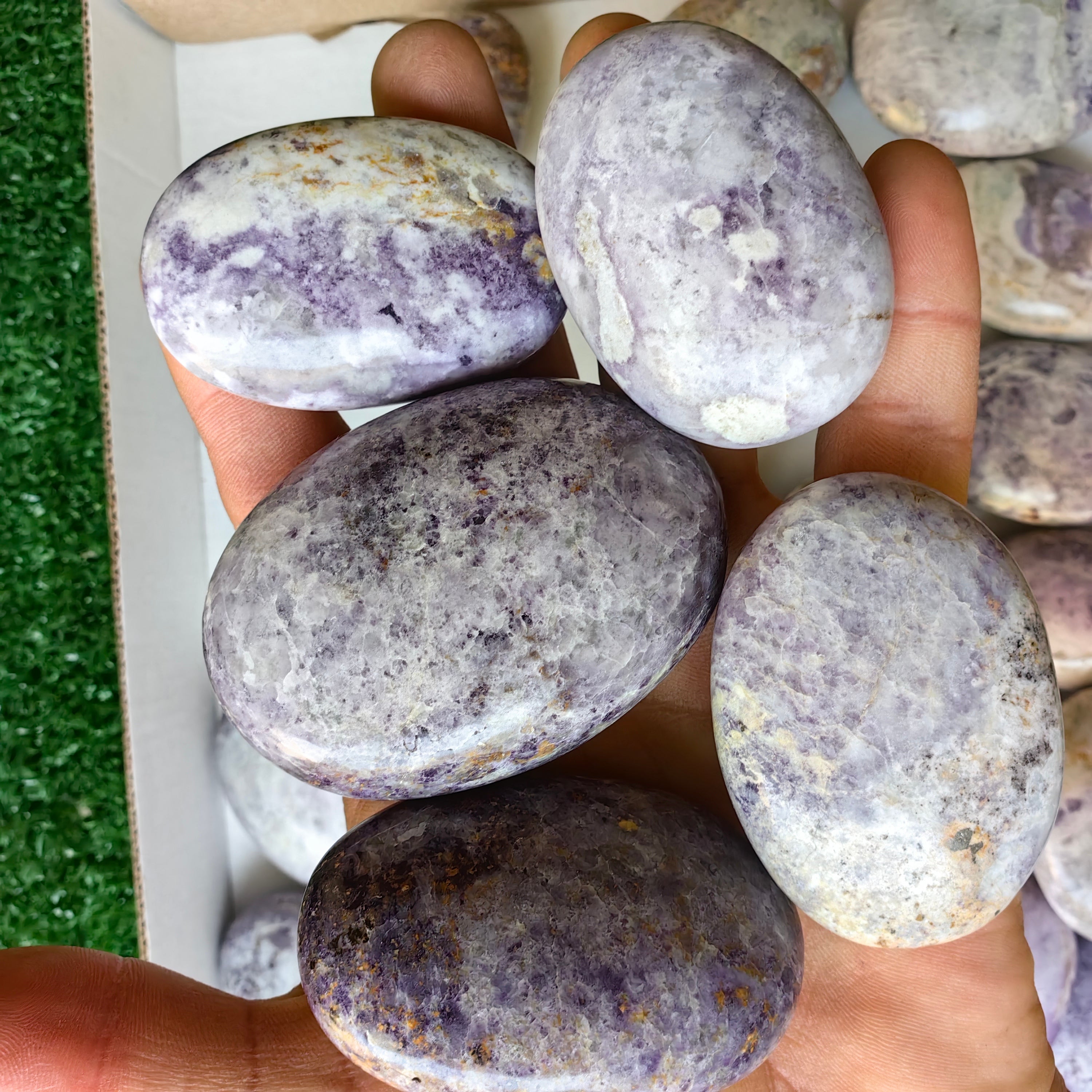 28 pc bolivianite palms