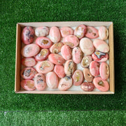 34 pc pink opal palms
