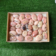 30 pc pink opal palms