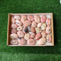 30 pc pink opal palms