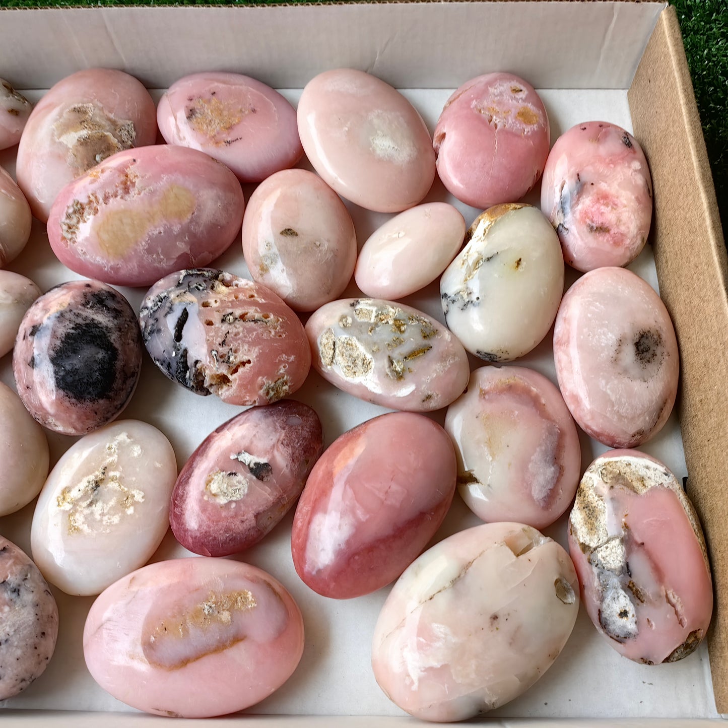 30 pc pink opal palms