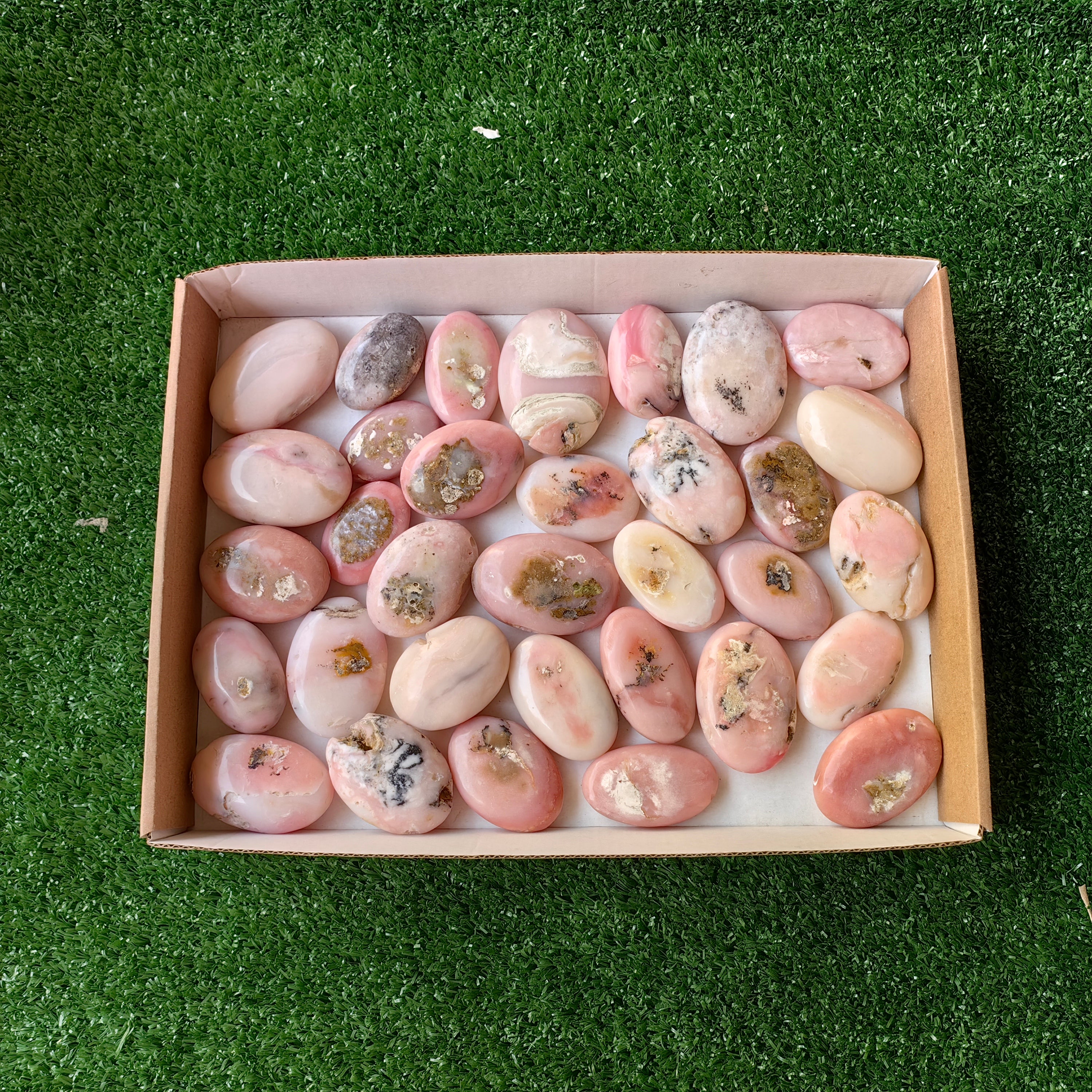 33 pc pink opal palms