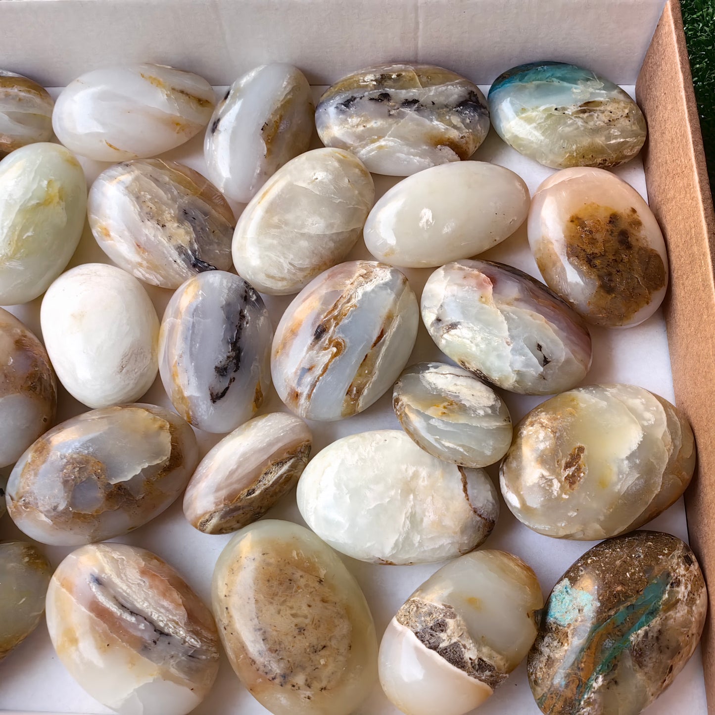 31 pc blue opal palms
