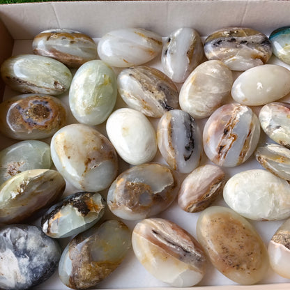 31 pc blue opal palms