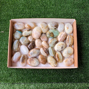 33 pc blue opal palms