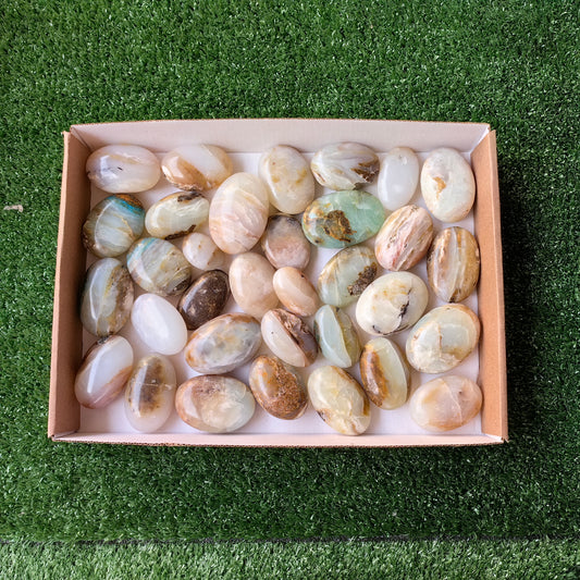 33 pc blue opal palms