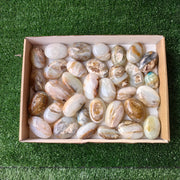 33 pc blue opal palms