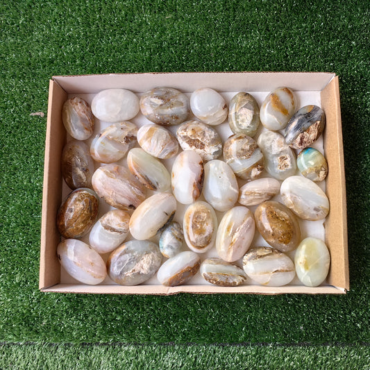 33 pc blue opal palms