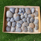 31 pc angelite palms and hearts