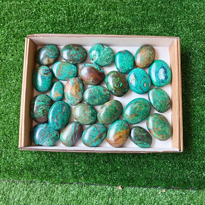 26 pc malachite palms