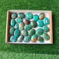 26 pc malachite palms