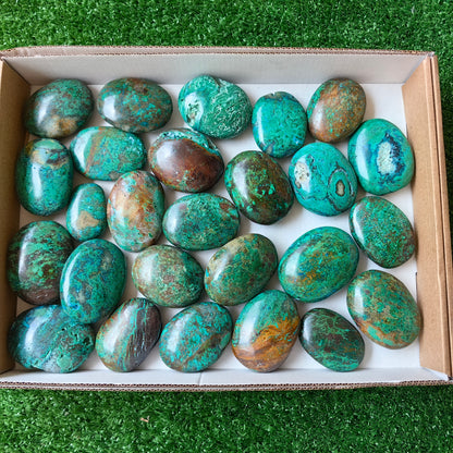 26 pc malachite palms