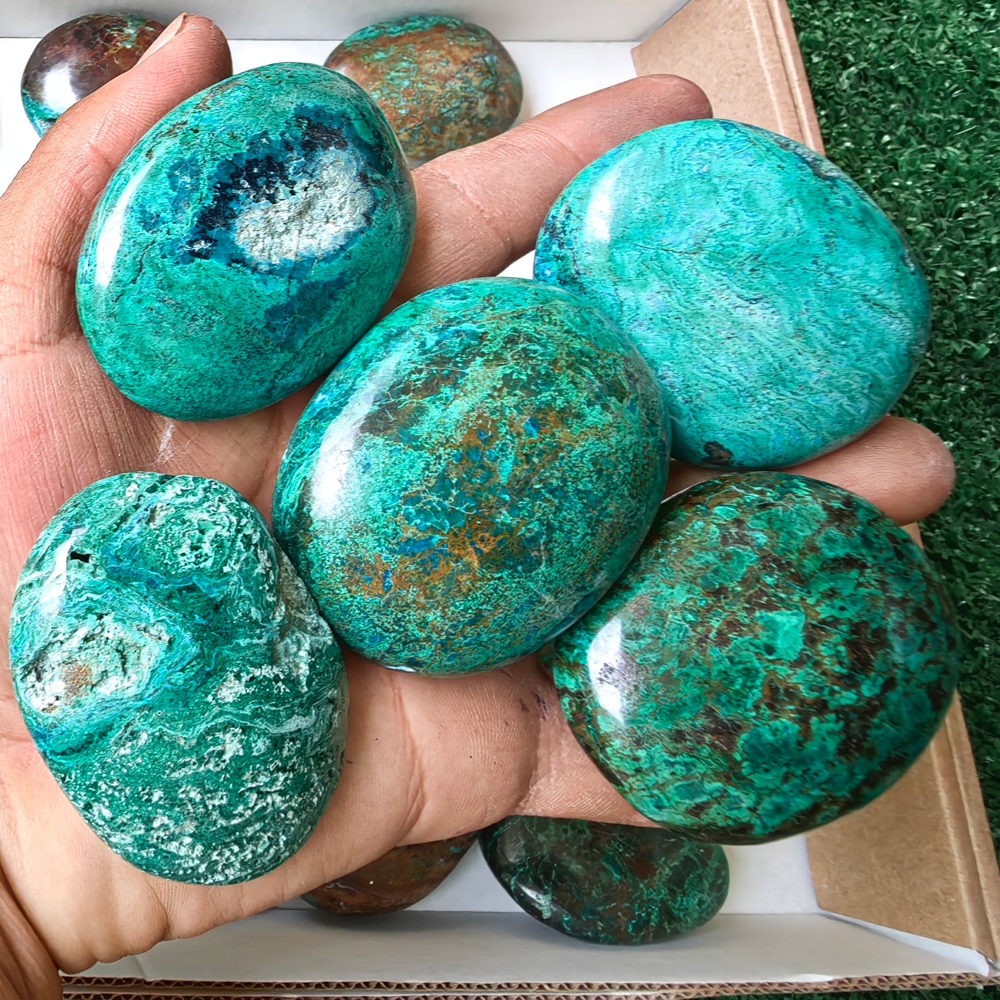 26 pc malachite palms