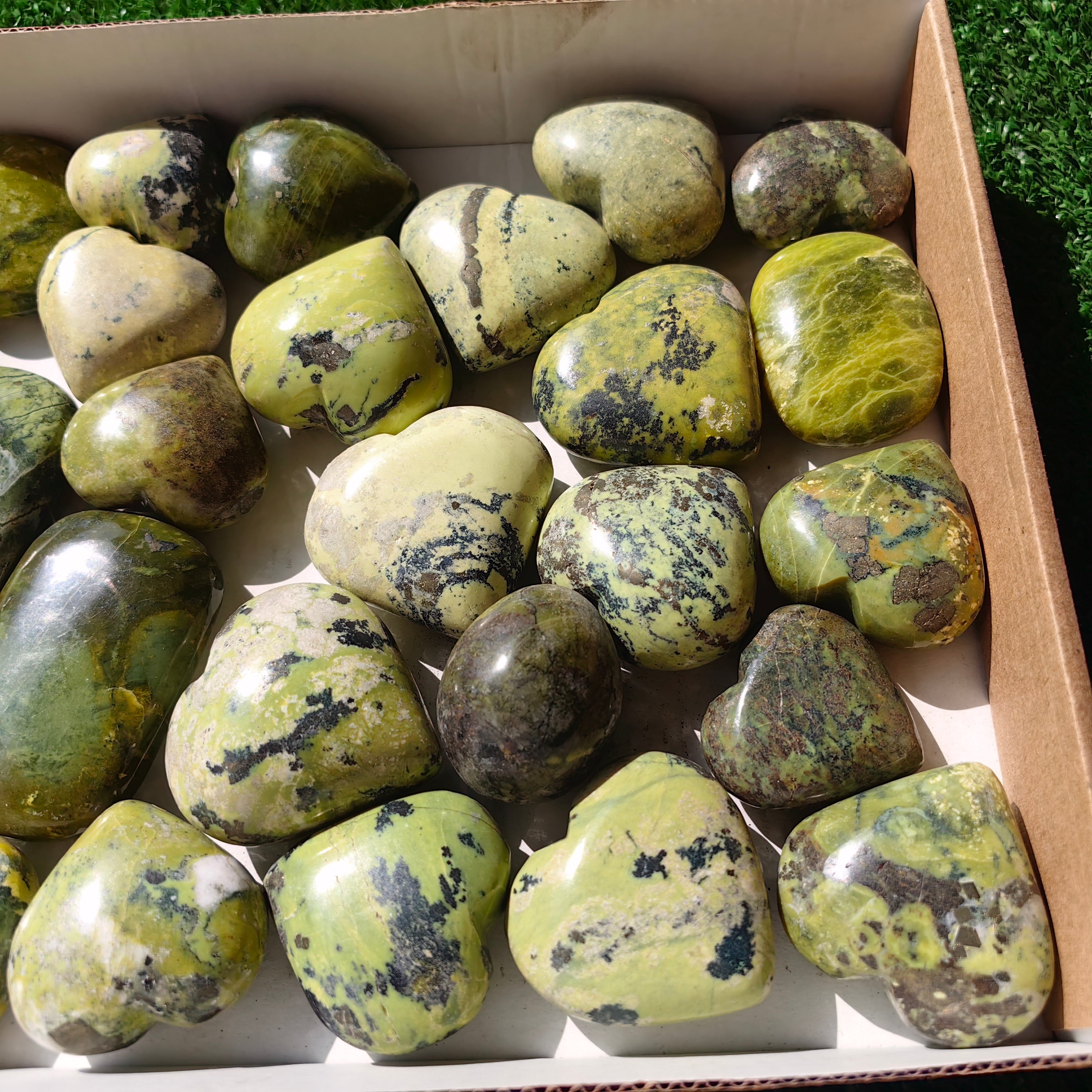 29 pc serpentine palms & hearts