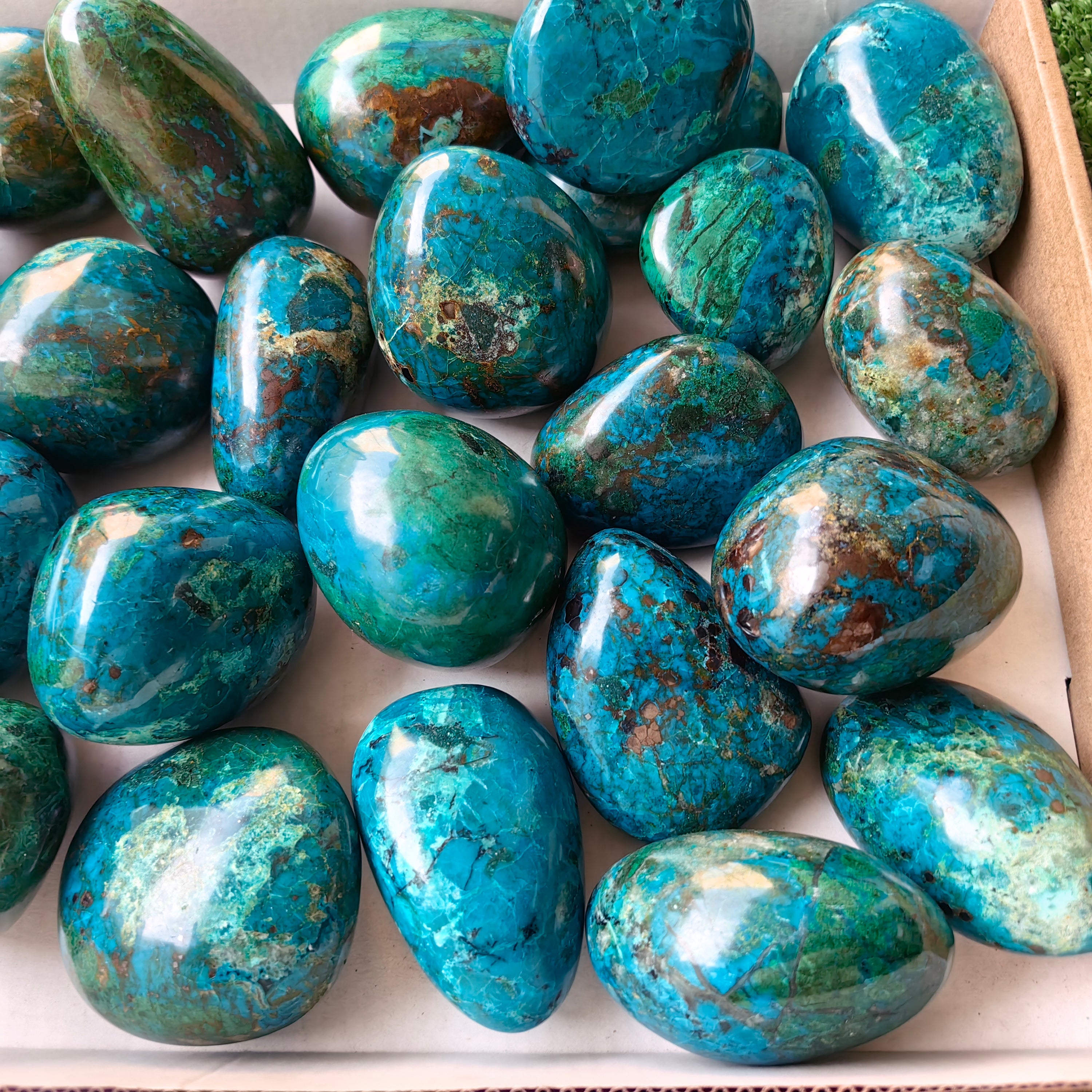 27 pc chrysocolla free forms