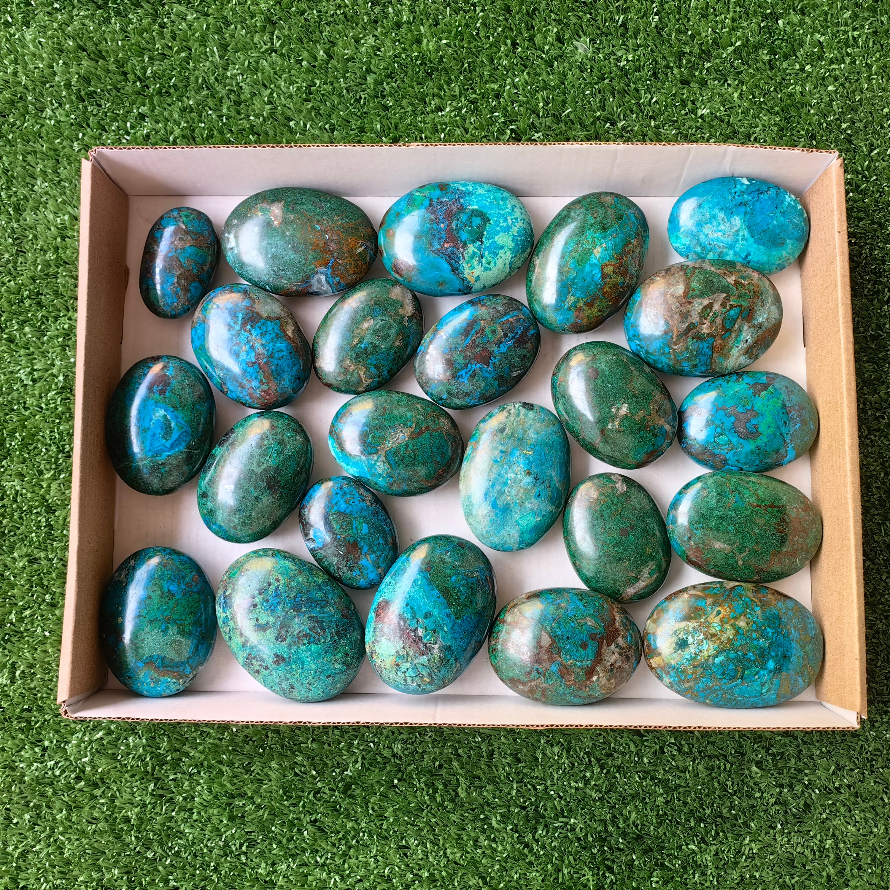 23 pc chrysocolla palms