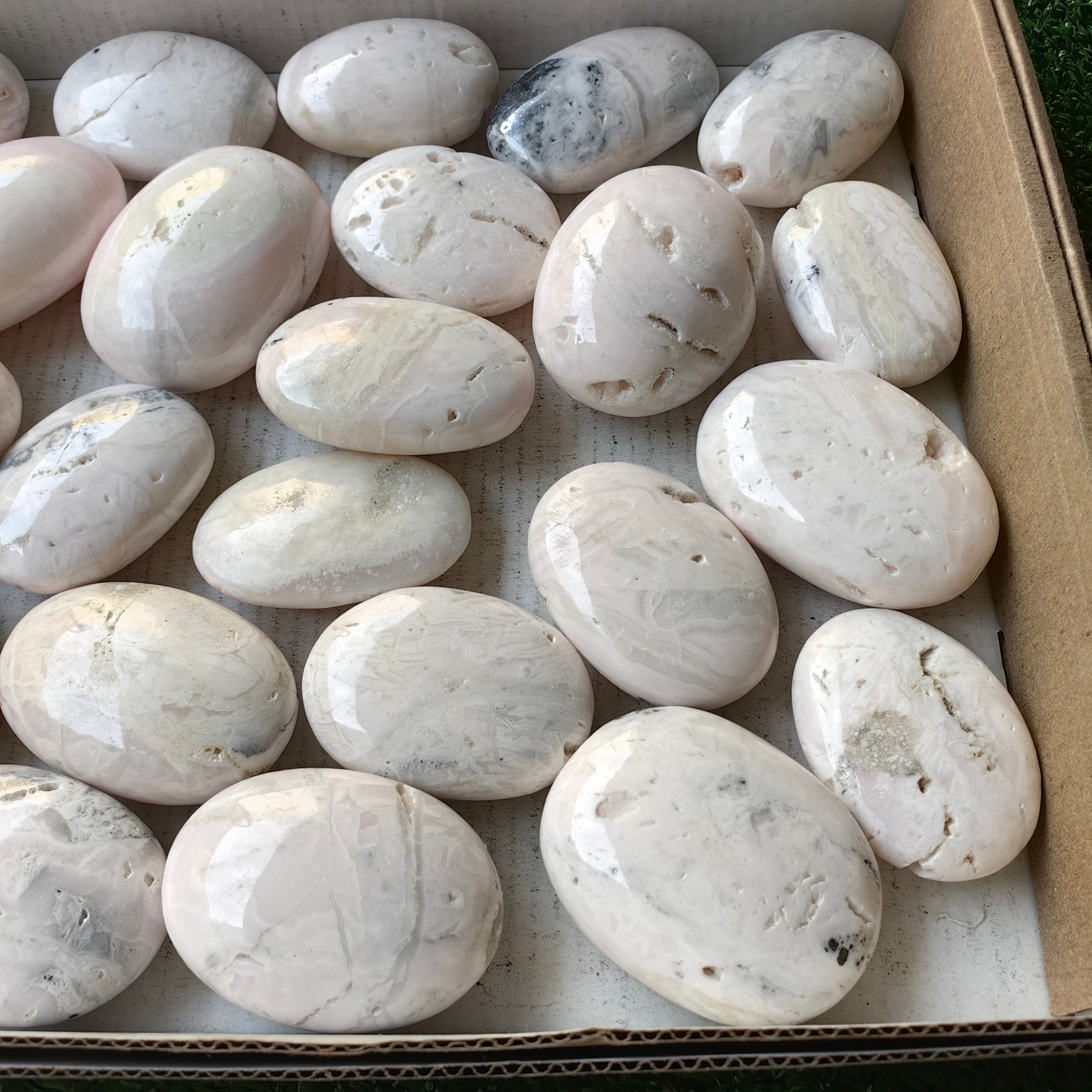 27 pc mangano calcite palm