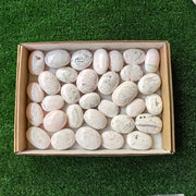 32 pc mangano calcite palm