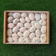 31 pc mangano calcite palm