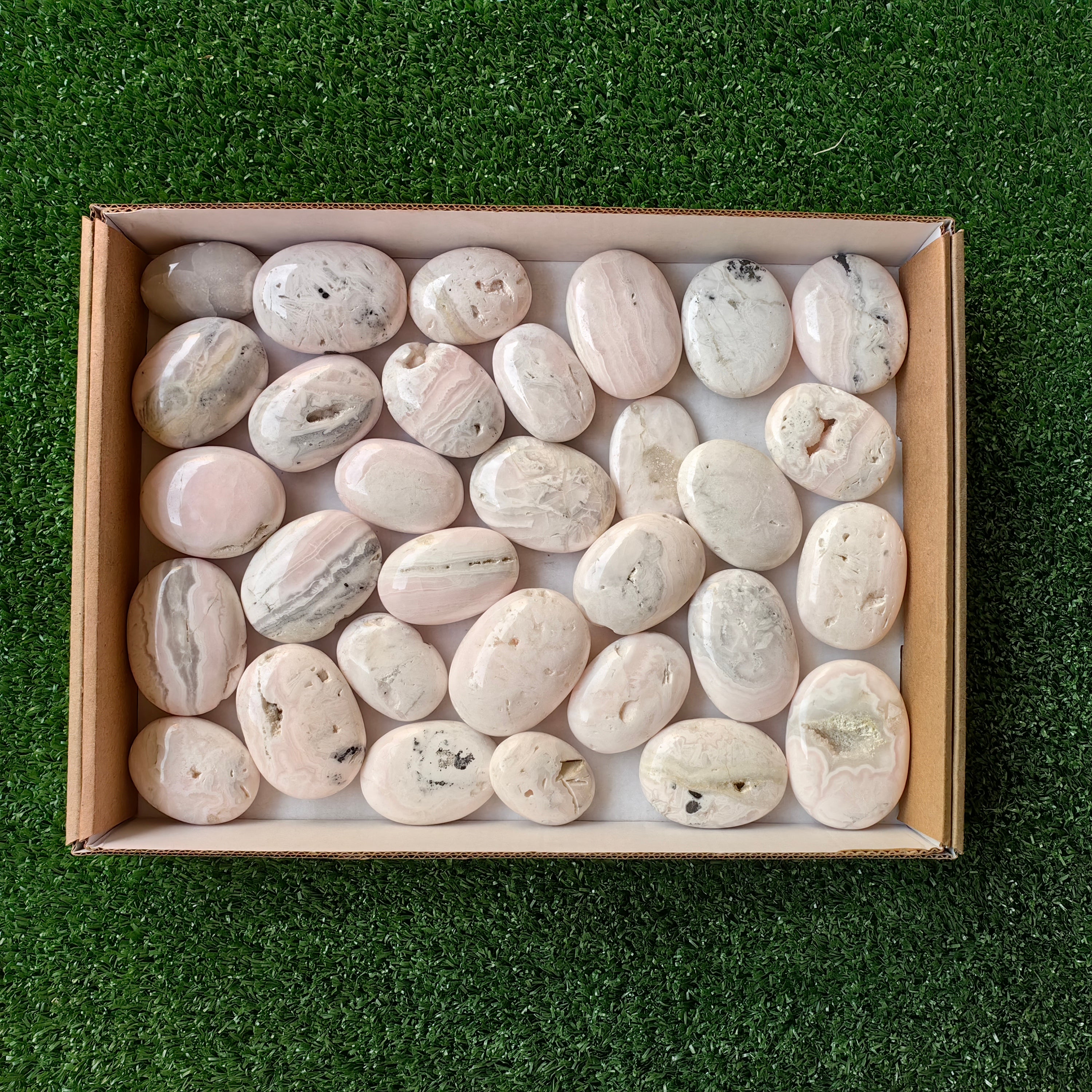 31 pc mangano calcite palm