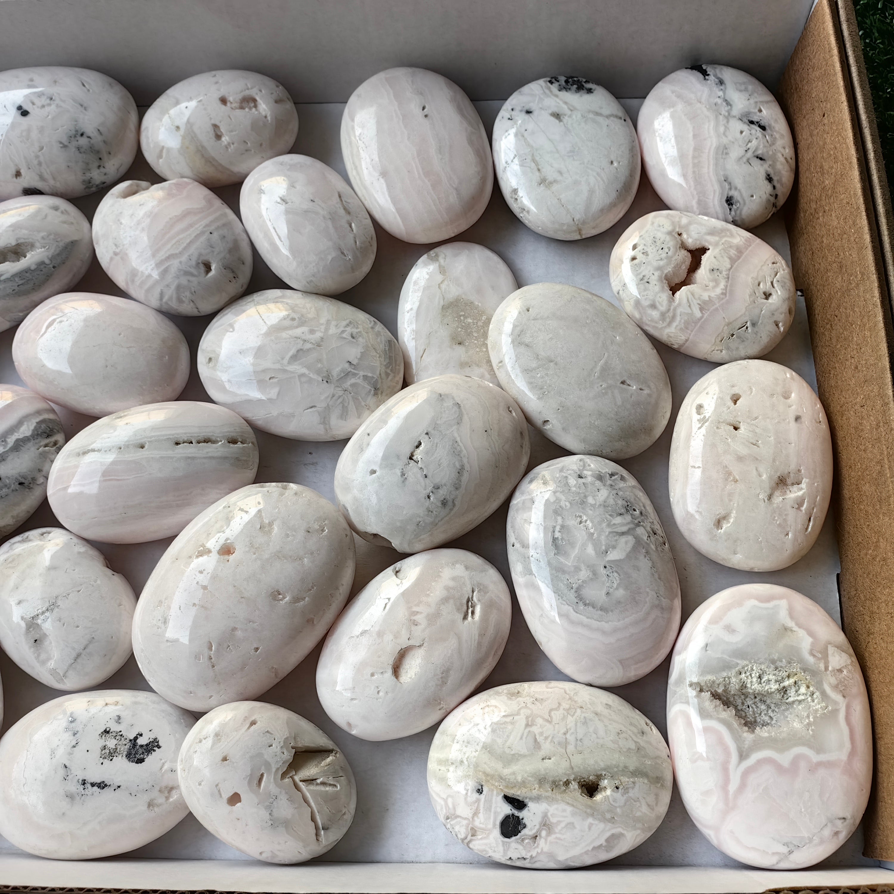 31 pc mangano calcite palm
