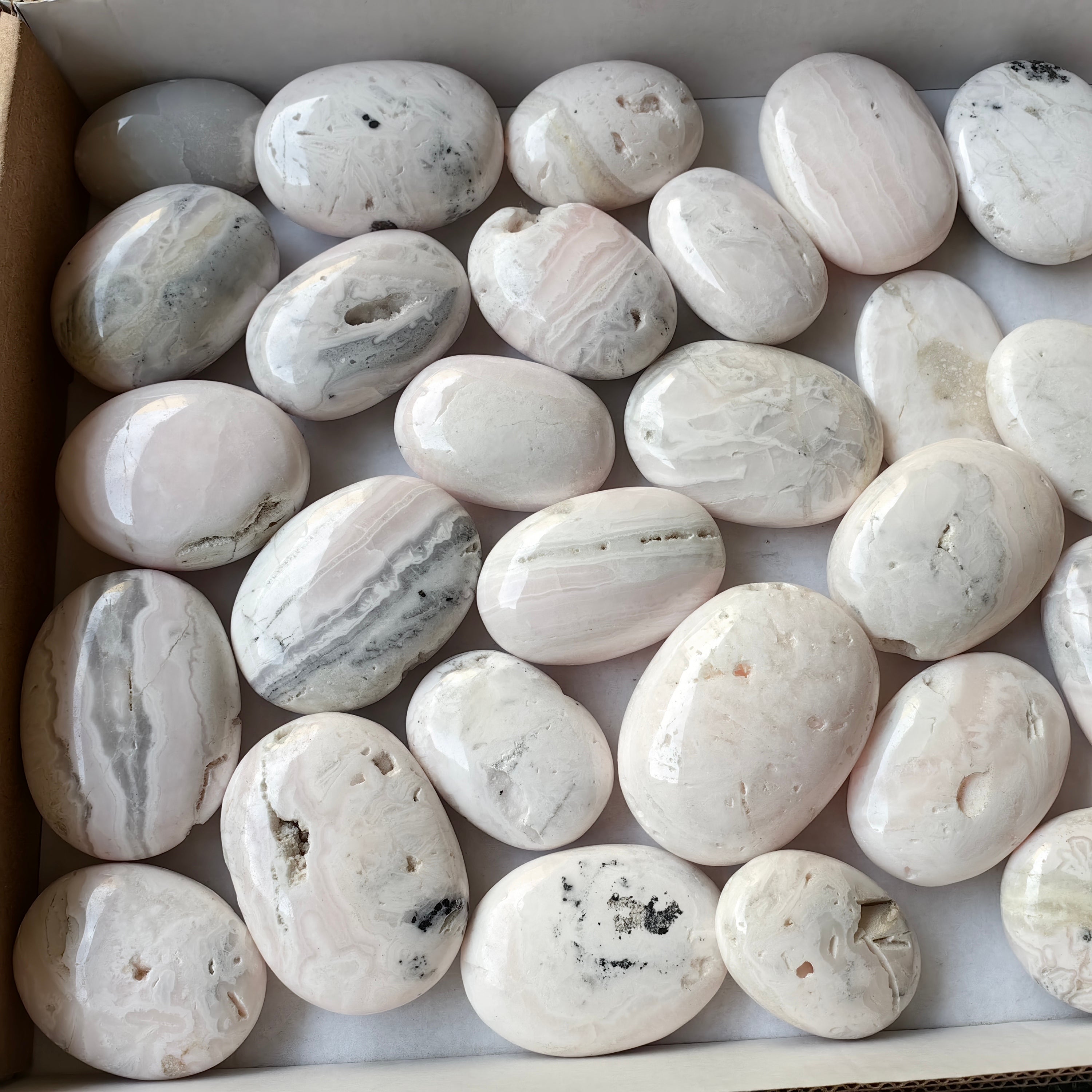 31 pc mangano calcite palm