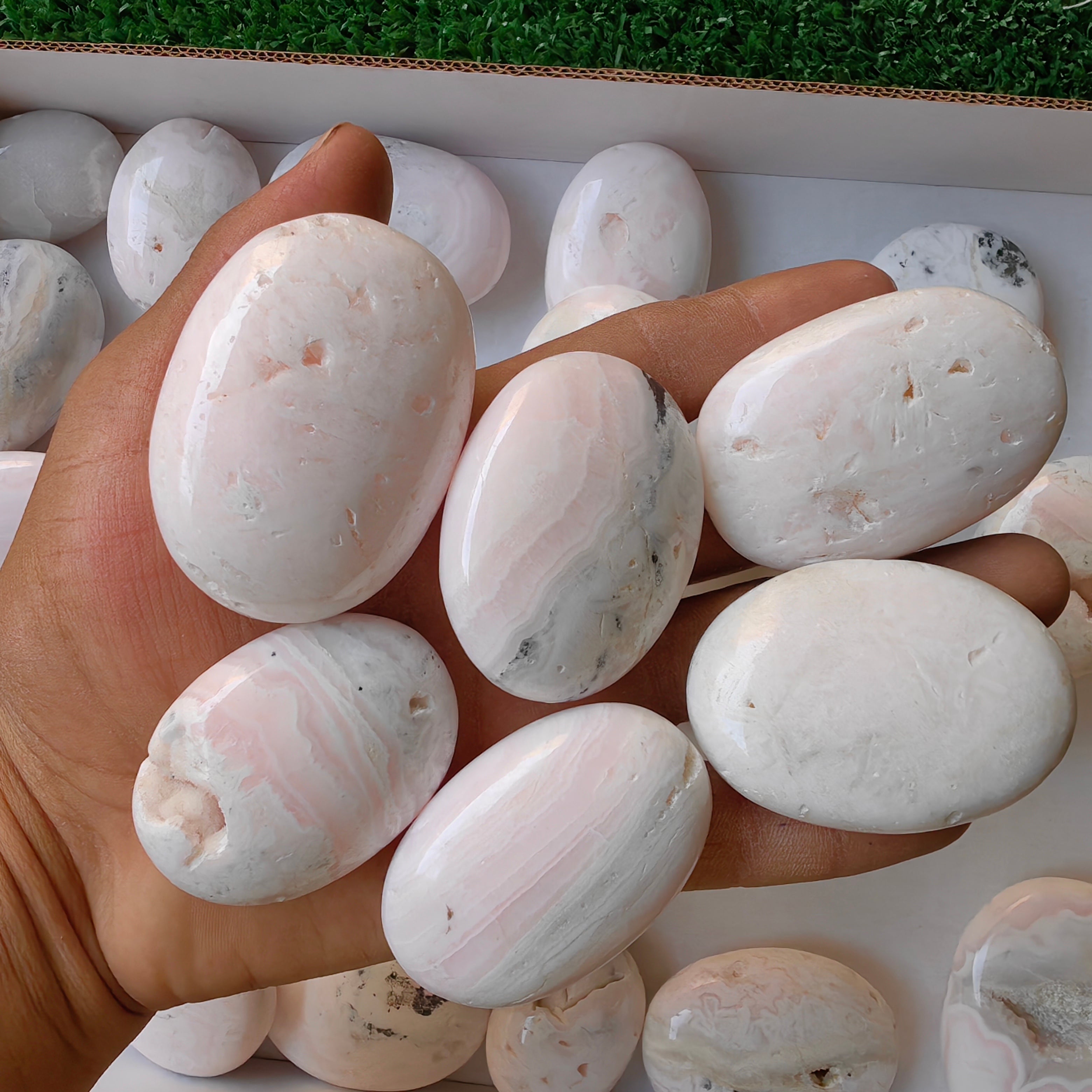 31 pc mangano calcite palm