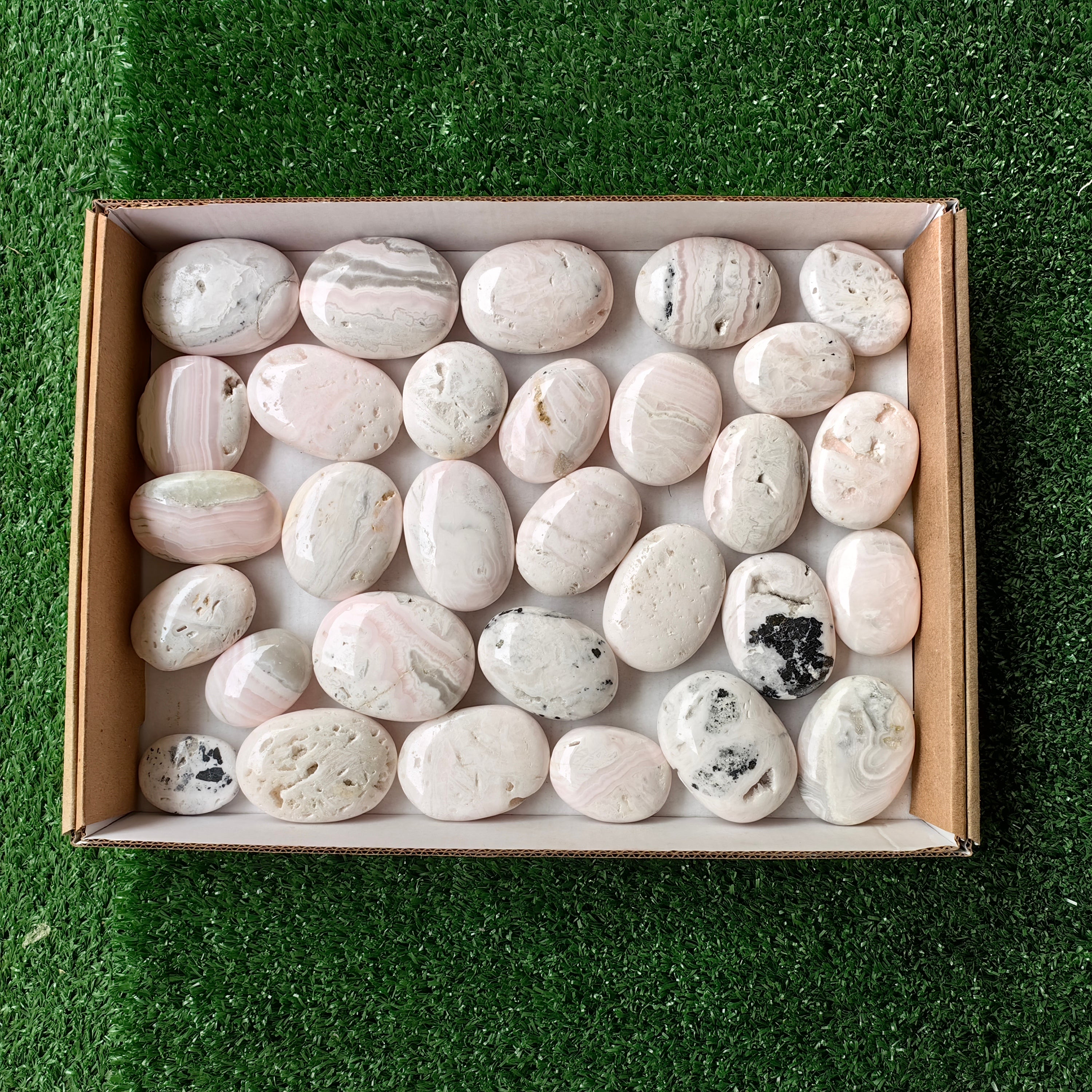 30 pc mangano calcite palm