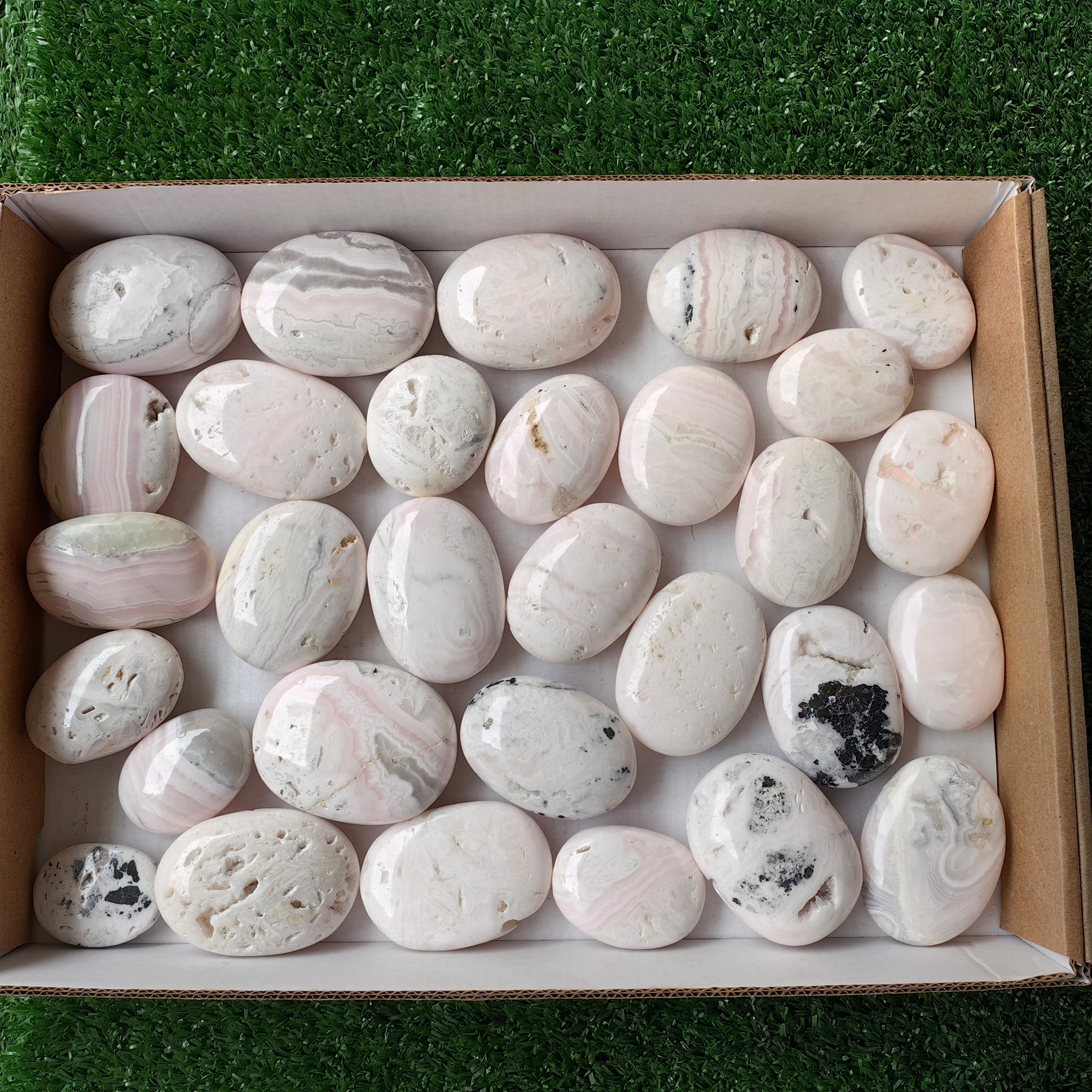 30 pc mangano calcite palm