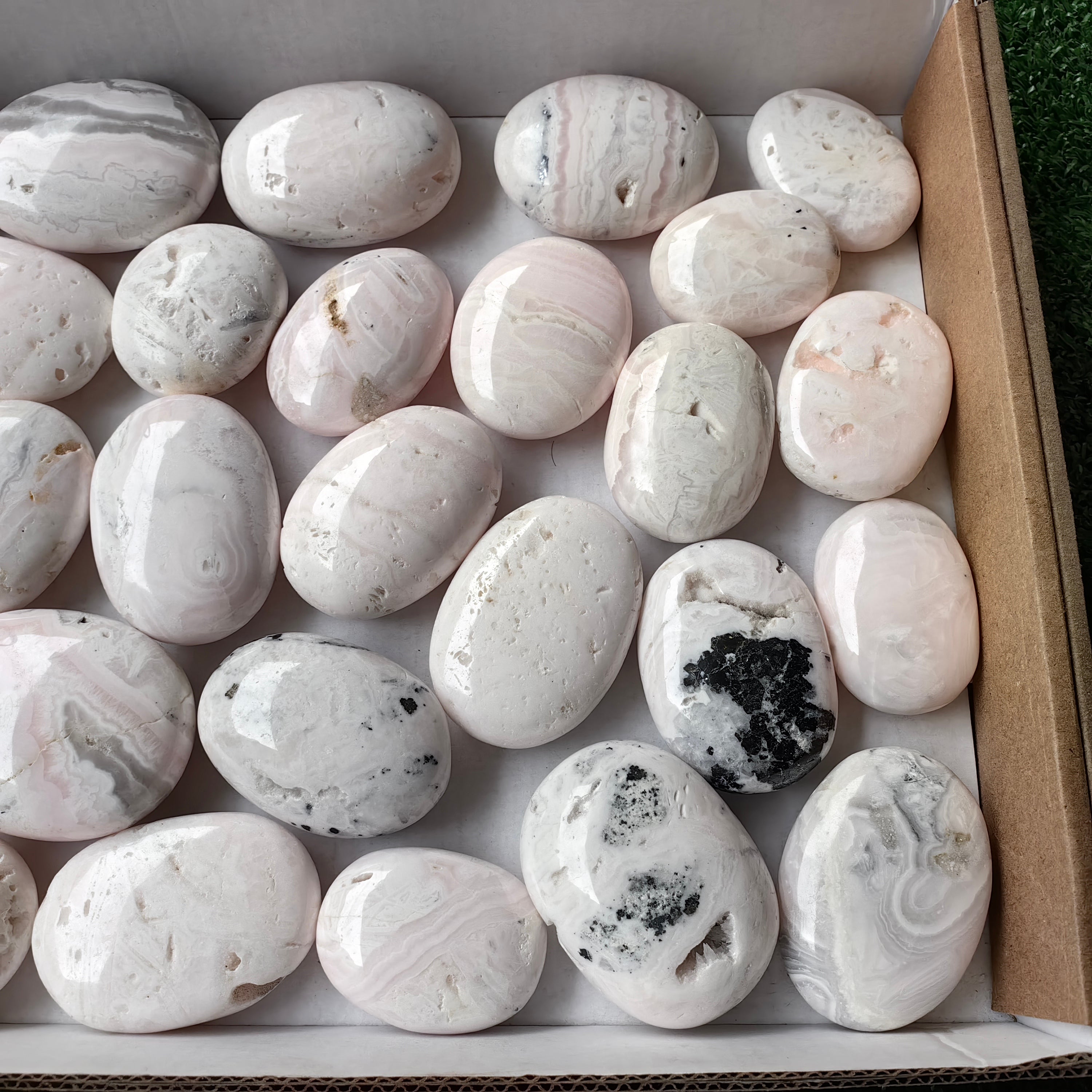 30 pc mangano calcite palm