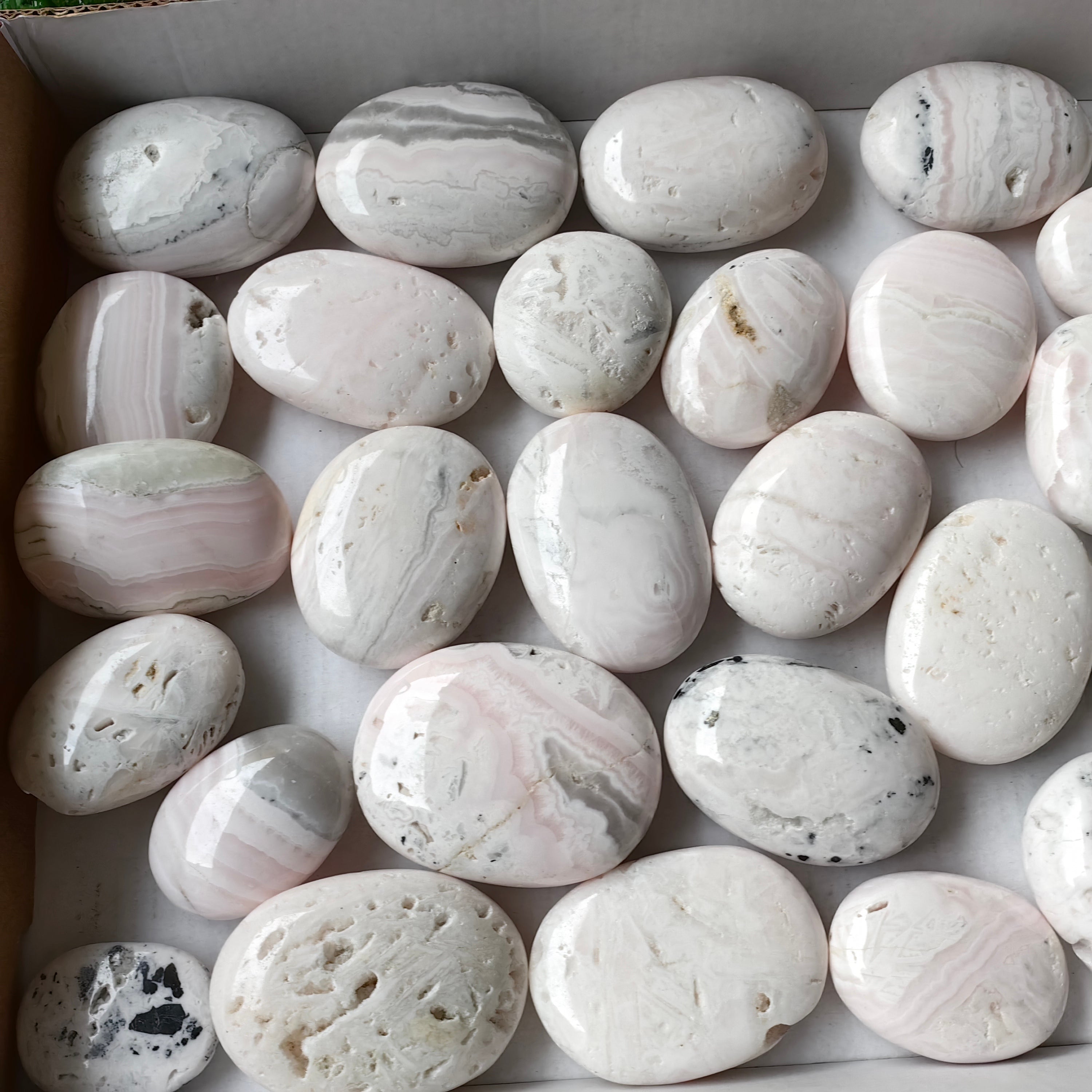 30 pc mangano calcite palm
