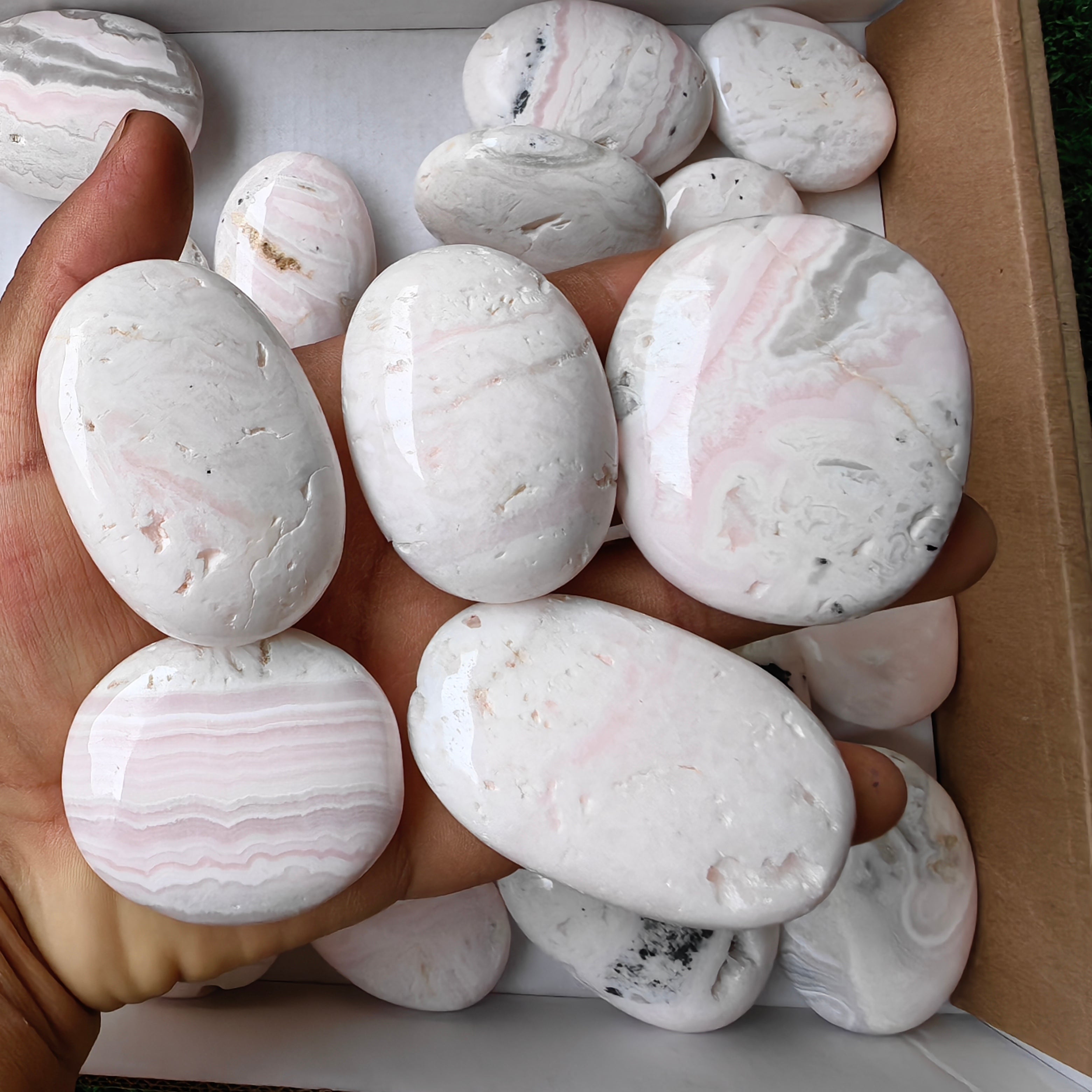 30 pc mangano calcite palm