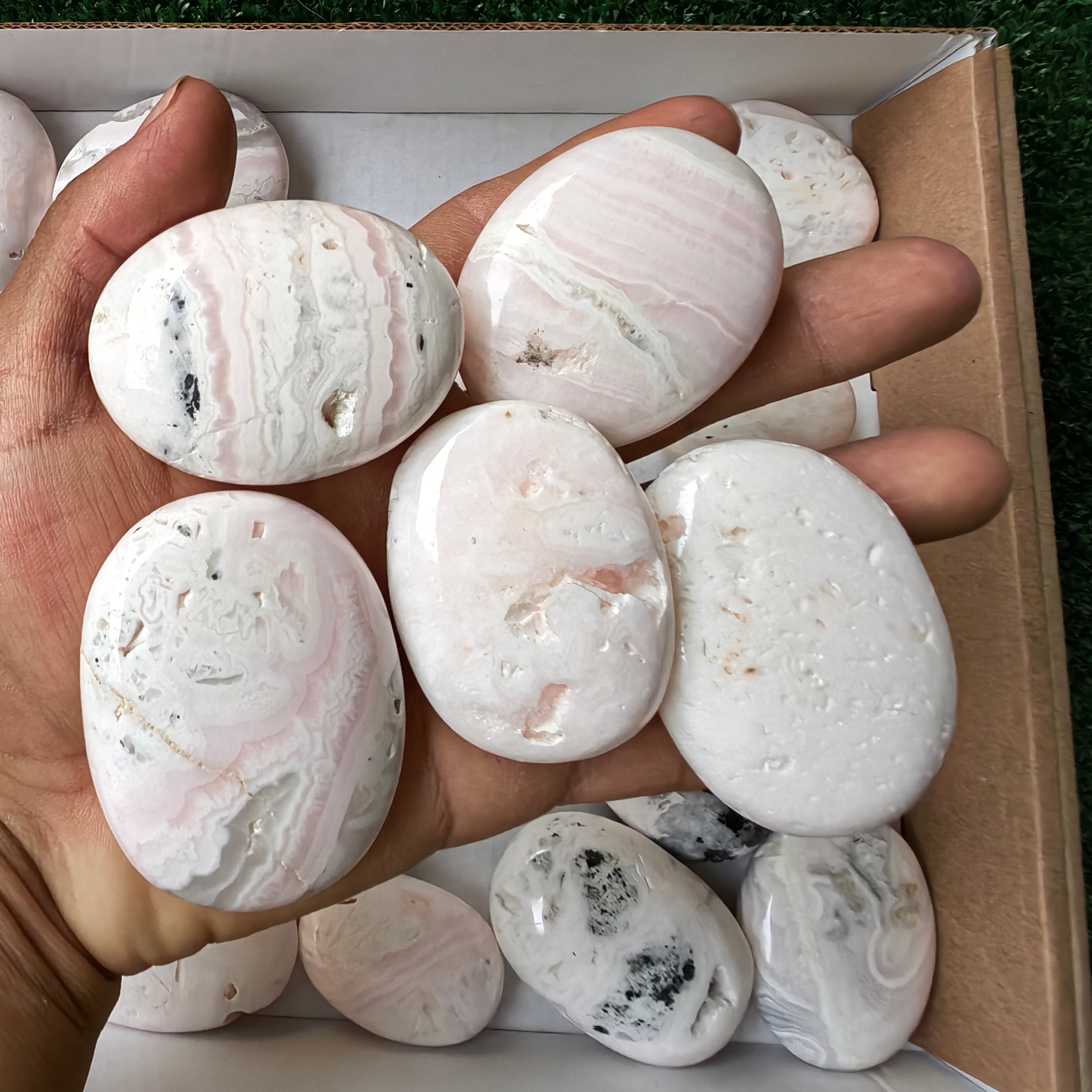 30 pc mangano calcite palm