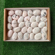 31 pc mangano calcite palm