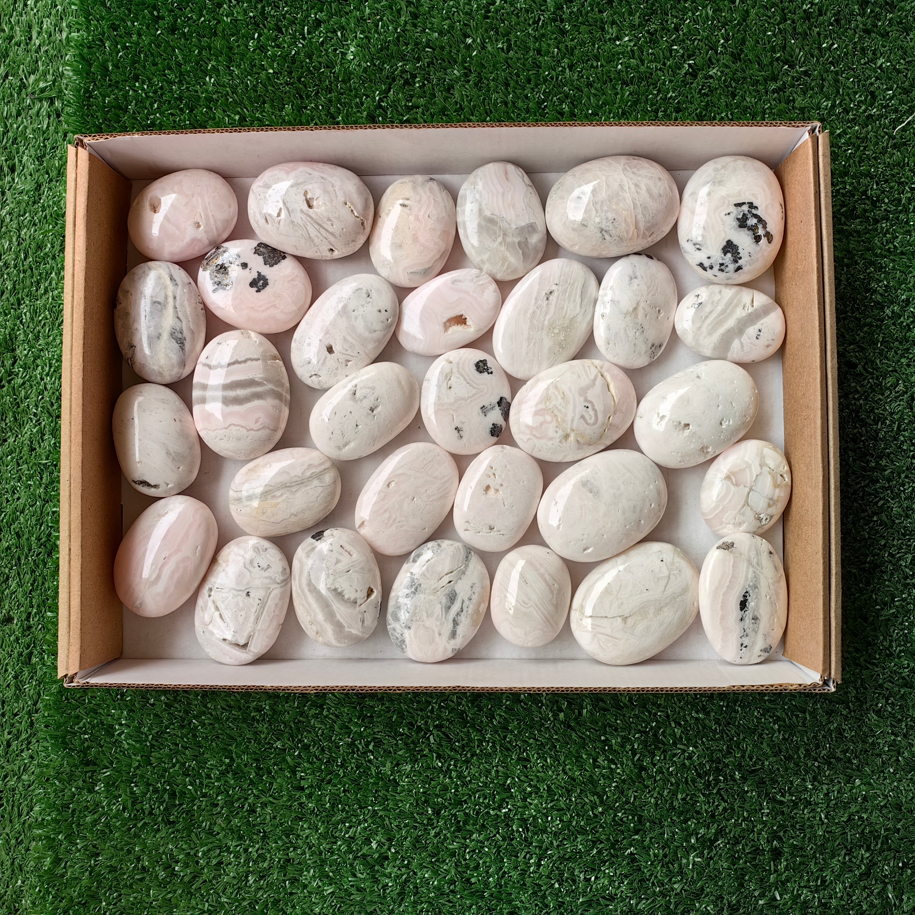 31 pc mangano calcite palm